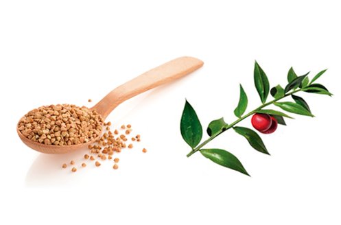 fluidil-ingredients