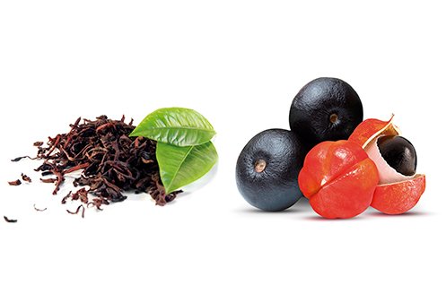 lipoburn-ingredients