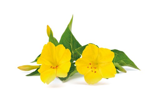 onagre_ingredients onagre_ingredients